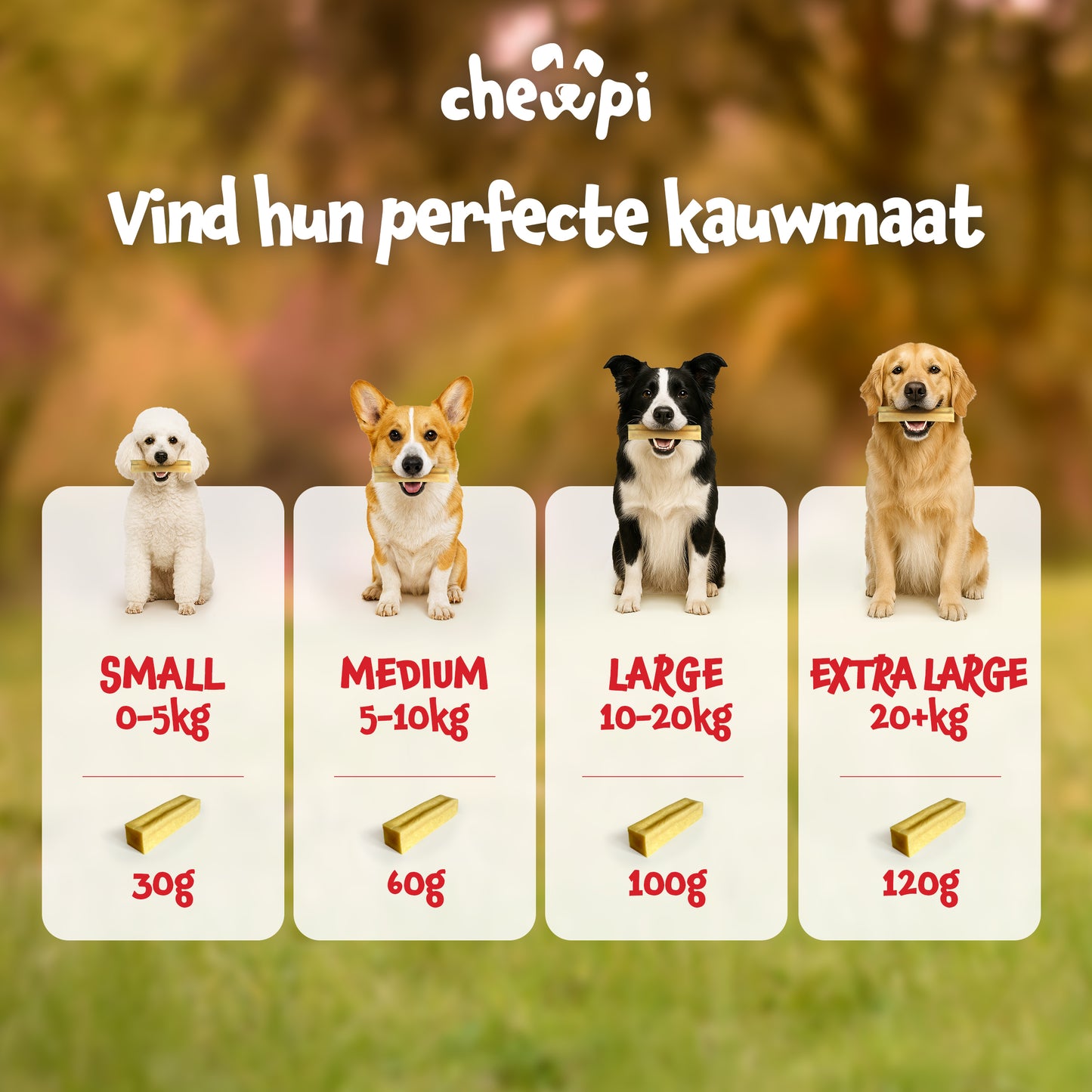 Chewpi Kauwstaven